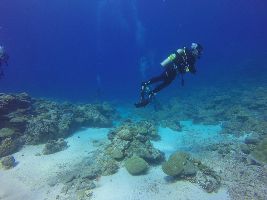 Plongeur qui se déplace sous l'eau à la découverte des fonds marins